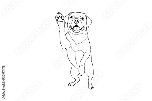 Line drawing a happy dog standing hind legs waving animal canine