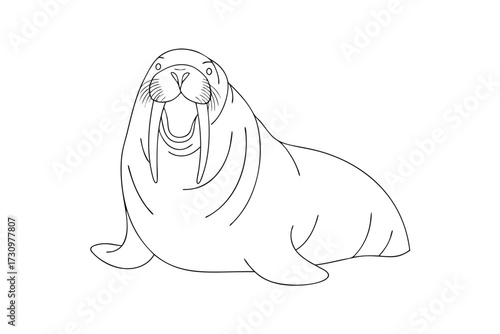 Simple line drawing a happy walrus with tusks animal marine
