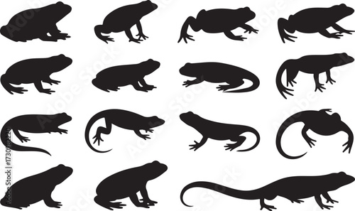 Frog, Toad, Salamander, Newt silhouette vector