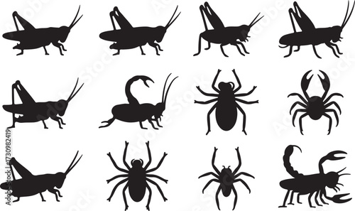 Grasshopper, Cricket, Spider, Scorpion  silhouette vector
