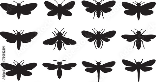 Moth, Bee, Wasp, Dragonfly silhouette vector