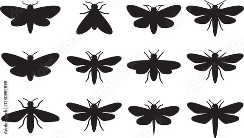 Moth, Bee, Wasp, Dragonfly silhouette vector