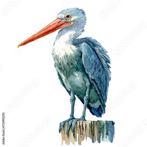 Stilts, watercolor clipart vector, isolated on a white background.