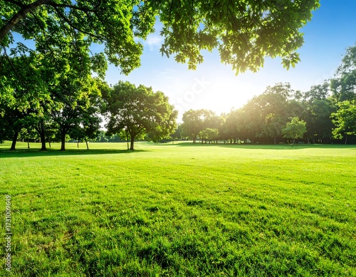 Lush green parkland under a bright sky