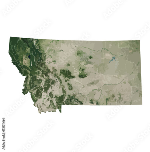 Montana Map Vector – Realistic Landsat Satellite Style Illustration