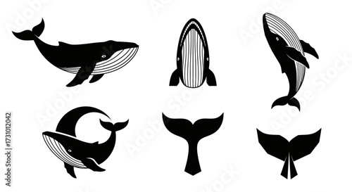 Black and white whale tail icons.