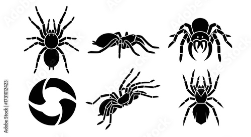Silhouette illustrations of spiders and an abstract swirl design.