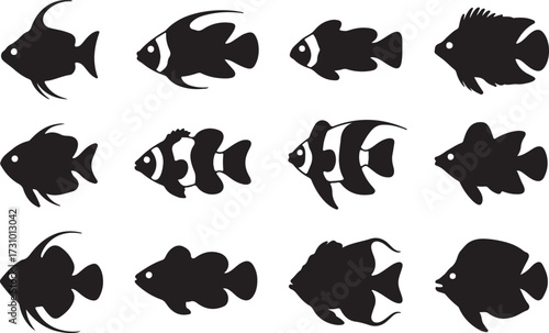 Fish, Angelfish, Clownfish, Goldfish silhouette vector