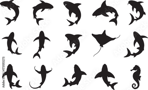 Koi, Shark, Stingray, Seahorse silhouette vector