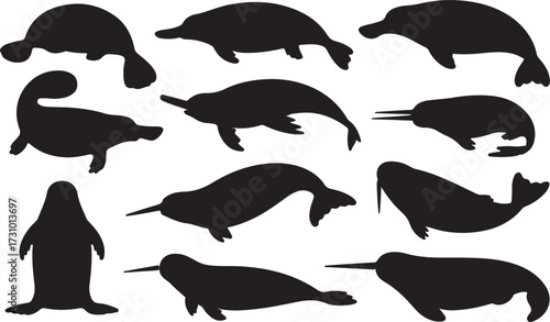 Platypus, Porpoise, Narwhal, Walrus silhouette vector