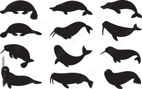 Platypus, Porpoise, Narwhal, Walrus silhouette vector