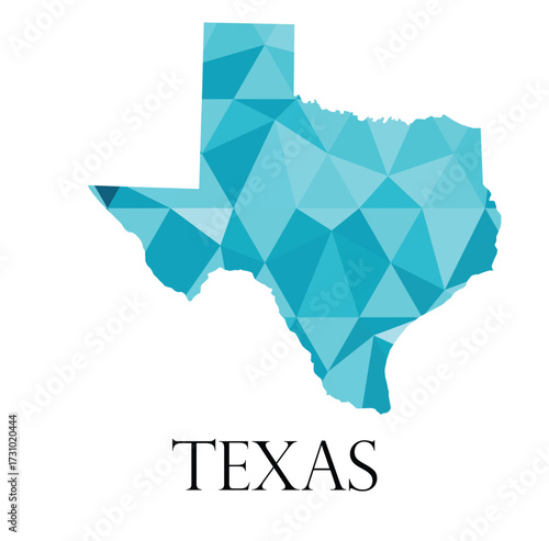 Texas Vector Map – Blue Low-Poly Texture