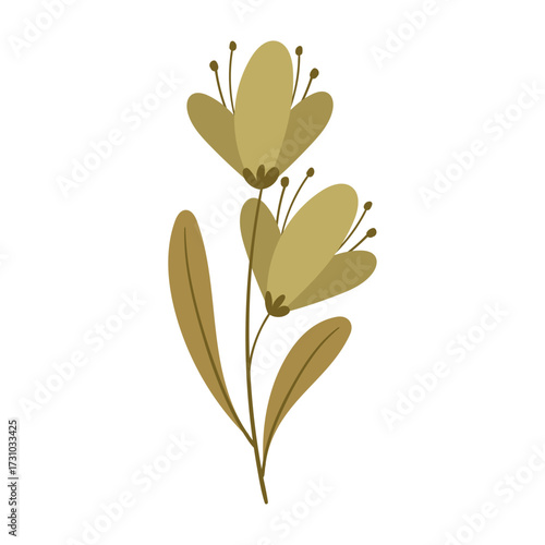Delicate Yellow Bell Flowers on a Stem with Green Leaves, Isolated on White Background
