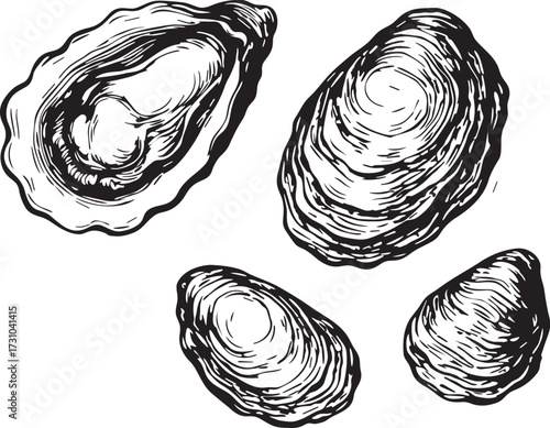 Detailed linocut etching black and white illustration of oysters with textured shells and inner body design for seafood culinary and educational artwork