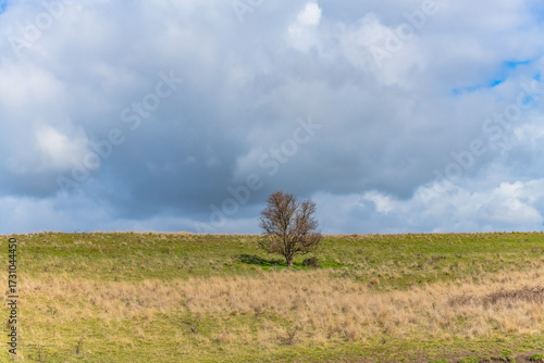 Rural landscapes in Winter with clouds and countryside