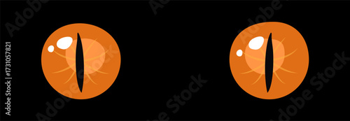 Orange glowing eyes dark background fantasy magic cartoon animal reptile feline mammal monster demon dragon shiny pupil vector illustration