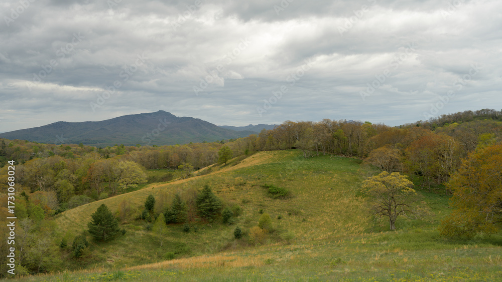 Fototapeta premium Lush rolling hills stretch across the landscape, with a backdrop of distant mountains. The scene captures the beauty of nature just as spring begins to bloom. Grandfather Mountain, North Carolina