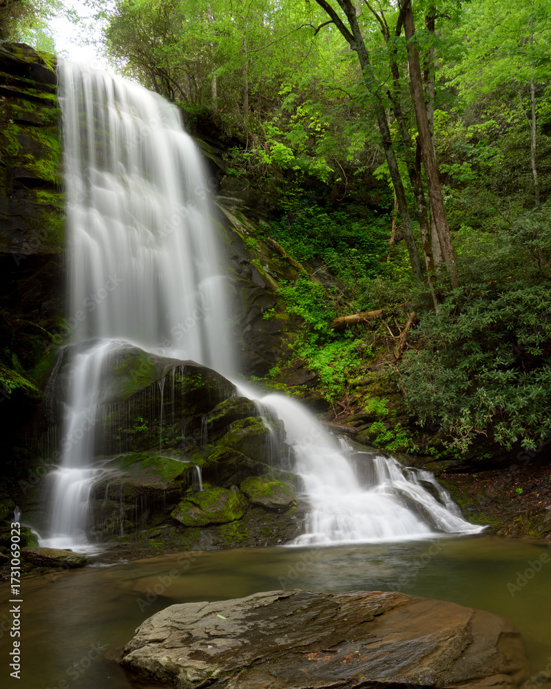 Fototapeta premium A stunning waterfall cascades down rocky cliffs, surrounded by vibrant green trees and plants. The water flows into a calm pool below, creating a peaceful atmosphere. Catawba Falls, North Carolina.