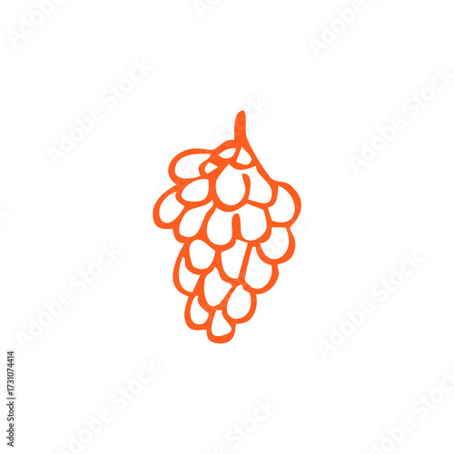 Orange hand-drawn hops cluster on white ground