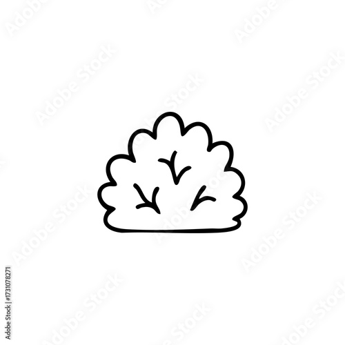 Doodle of rounded bush with branches