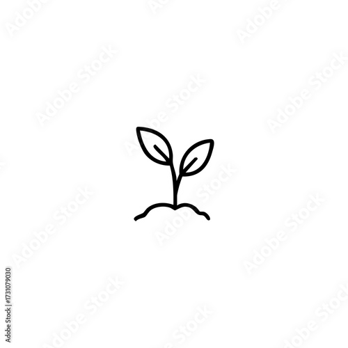 Seedling with two leaves, emerging from soil