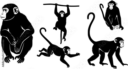 Monkey silhouettes, Monkey silhouette collection, Sitting monkey silhouette, Monkey, Monkey clipart, Monkey vector illustration