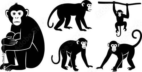 Monkey silhouettes, Monkey silhouette collection, Sitting monkey silhouette, Monkey, Monkey clipart, Monkey vector illustration