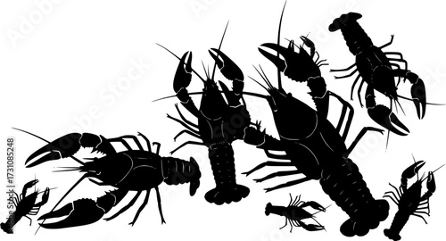 Crayfish silhouette, Lobsters silhouette, Crayfish, Crawfish, Crawfish silhouette, Seafish silhouette, Crayfish bundle
