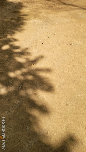 影／shadow／shade／other side／그림자