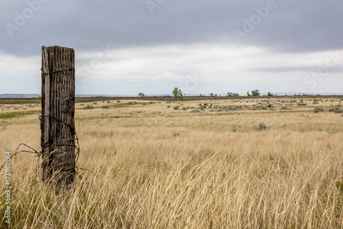 Fence post in field on a stormy summer day