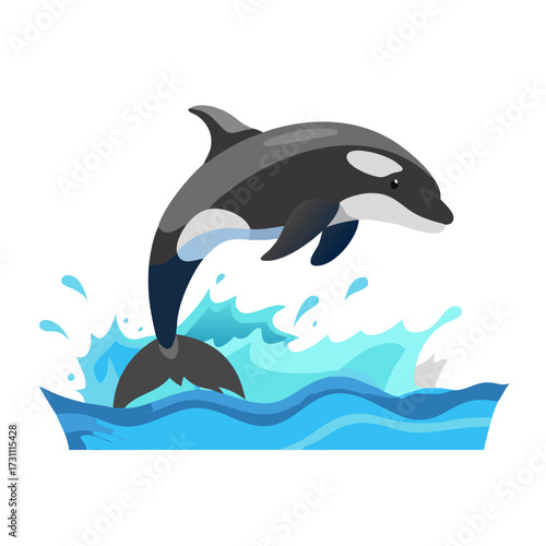 dolphin in the water