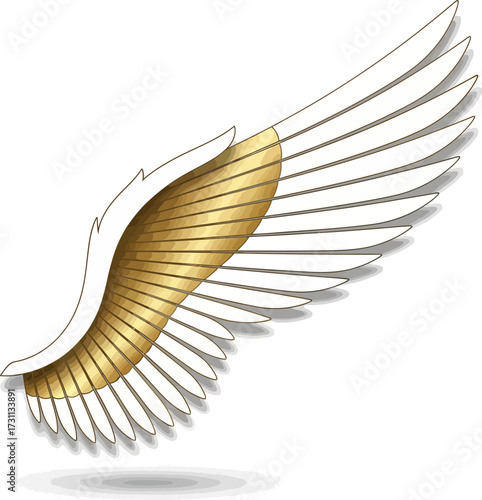 An elegant, stylized angel wing with white and golden feathers, isolated on a white background with a soft shadow.