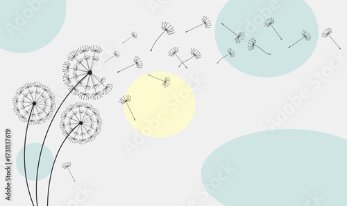 Vector illustration dandelion seed blowing in the wind.