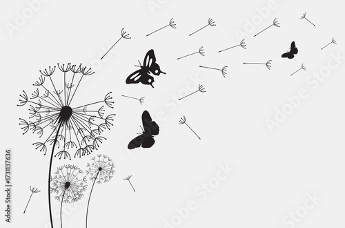Dandelion with flying butterflies and seeds, vector illustration
