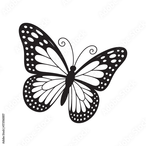 butterfly isolated on white