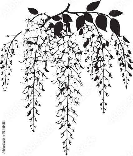 Blooming Golden Shower Tree Silhouette Vector Illustration