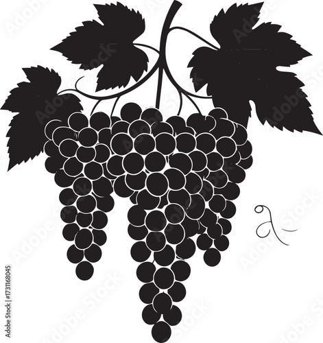  Fresh Grapes Silhouette Vector Illustration