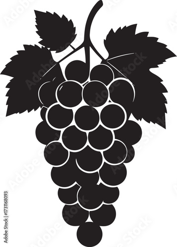  Fresh Grapes Silhouette Vector Illustration