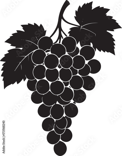  Fresh Grapes Silhouette Vector Illustration