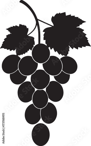  Fresh Grapes Silhouette Vector Illustration