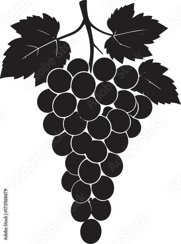  Fresh Grapes Silhouette Vector Illustration
