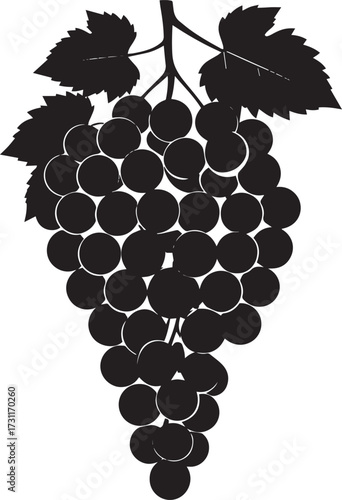  Fresh Grapes Silhouette Vector Illustration