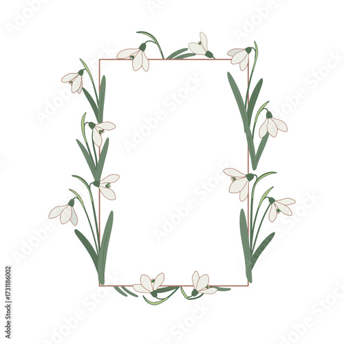 Elegant Snowdrop Flower Frame Illustration.
