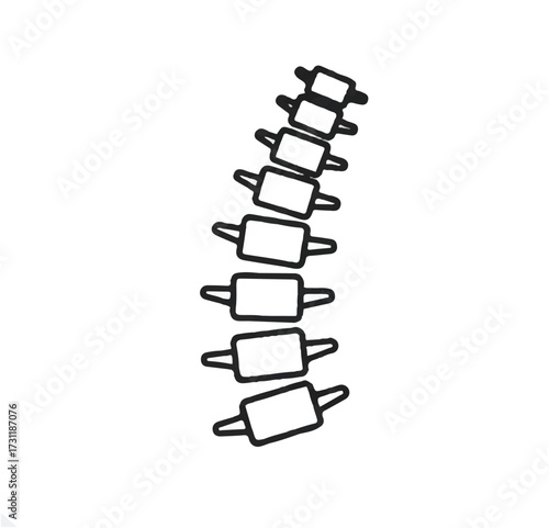 A clear flat vector illustration of a human spine backbone outline, serving as a clean orthopedic symbol isolated on a neutral background, representing anatomical structure and health.