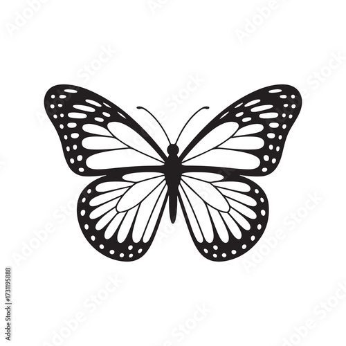 butterfly isolated on white