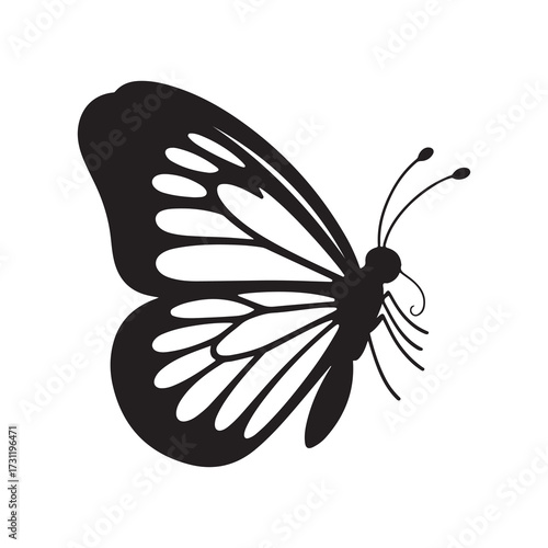 black butterfly vector illustration
