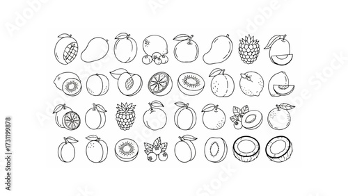 A collection of various fruits in black and white line art including mangoes, pineapples, and plums shown