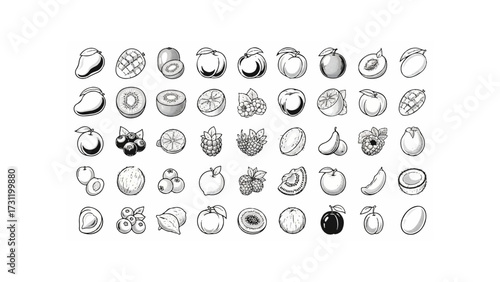 Illustration of various fruits including mango kiwi plum orange raspberry pear and coconut in black and white
