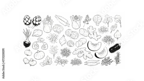 A detailed monochromatic illustration of various vegetables including artichokes and ginger root plants