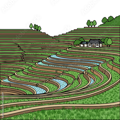 Scenic view lush green terraced rice paddies with water channels and traditional house, set against hillside